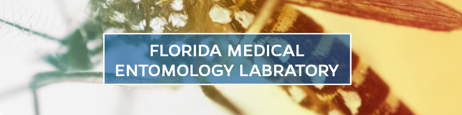 Florida Medical Entomology Laboratory