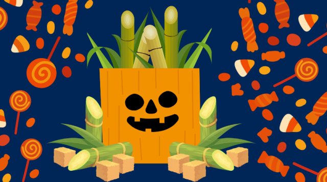 Halloween Candybag filled with sugar cane stalks. Assorted candy in the background