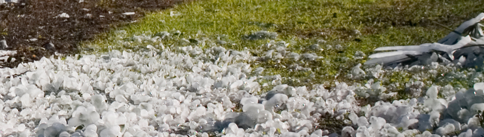 Preparing for Agricultural Damage and Loss Assessments Following Recent Winter Freeze Events