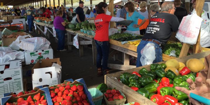 farmers-market-fshn-workshop-food-safety