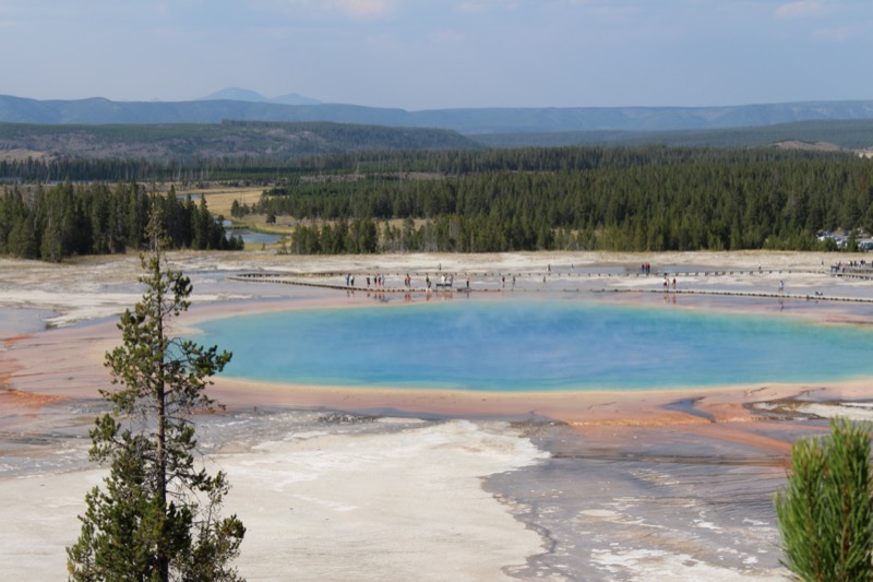 Landscape picture of blue hot spring in Yellowstone National Park.