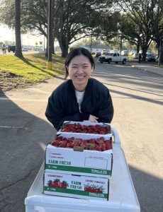 Jingyi Kini Cheng wearing a dark shirt and standing behind four flats of strawberries | Food Science and Human Nutrition UF/IFAS