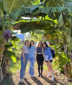 Four people stand under a canopy of large banana leaves.