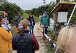A group of people standing around a training in an orchard.
