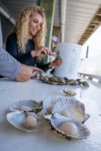 Dr. Farzad scalloping the background with open scallops in the foreground, seafood safety Extension | Food Science and Human Nutrition UF/IFAS