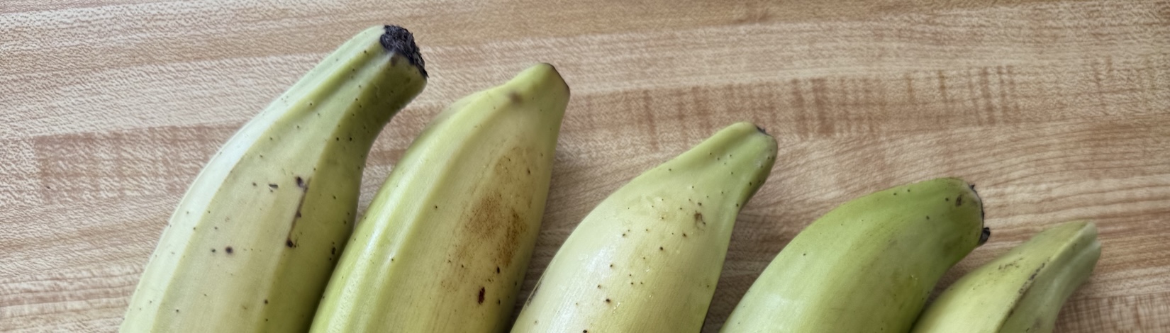 The tops of five green plantains.
