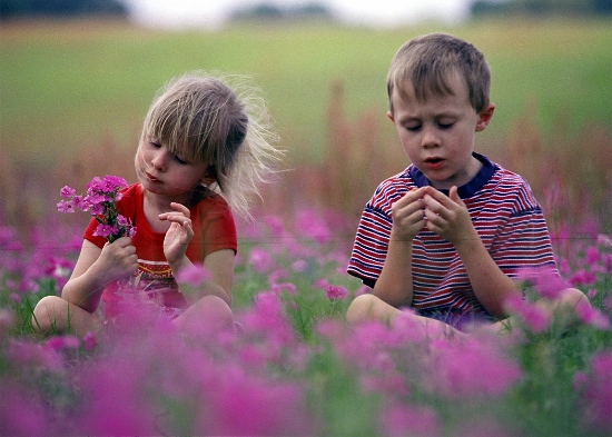 siblings in field