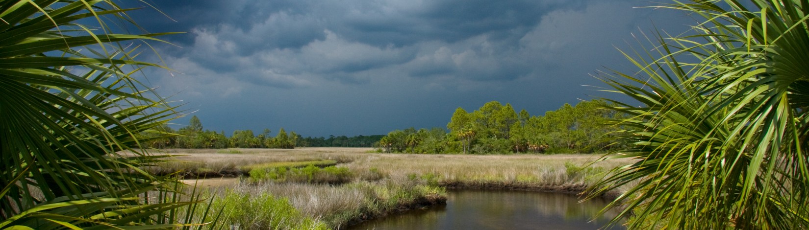 Storm clouds over a South Florida landscape. Storms, weather, clouds, palm trees, water.