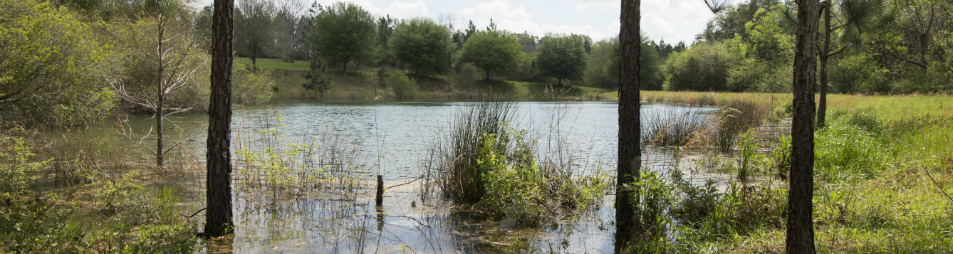 Pond Management Techniques 2014 - UF/IFAS Extension Gadsden County