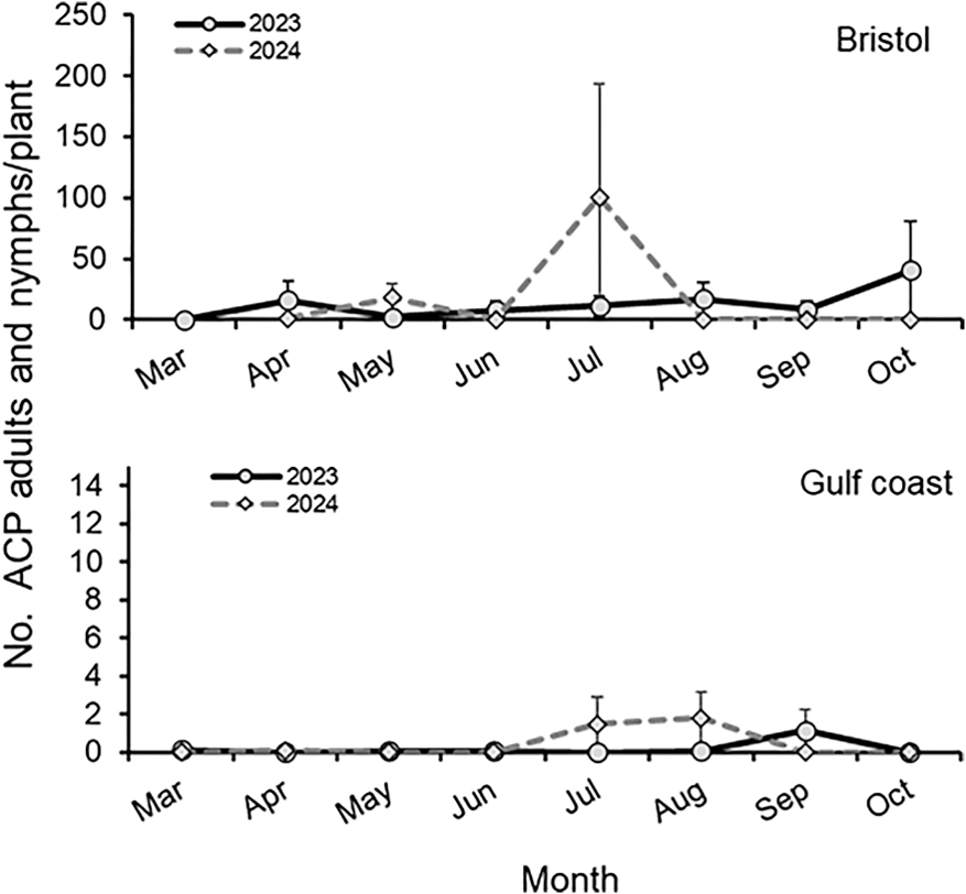 Line graphs comparing ACP adults and nymphs per plant in Bristol and Gulf Coast locations for 2023 and 2024. Bristol shows a peak in July 2024, while Gulf Coast shows very low numbers throughout both years.