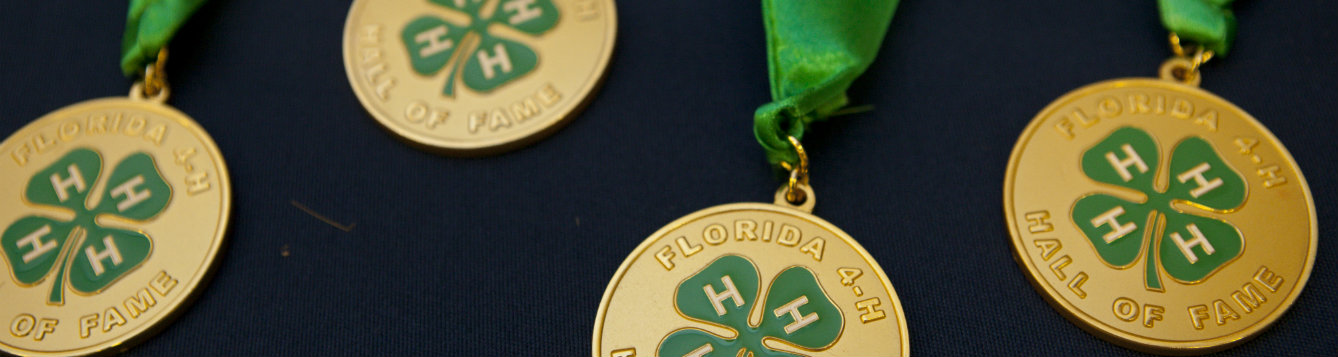 4-H Awards