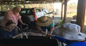 2019 MG Spring Plant Sale Prep 2