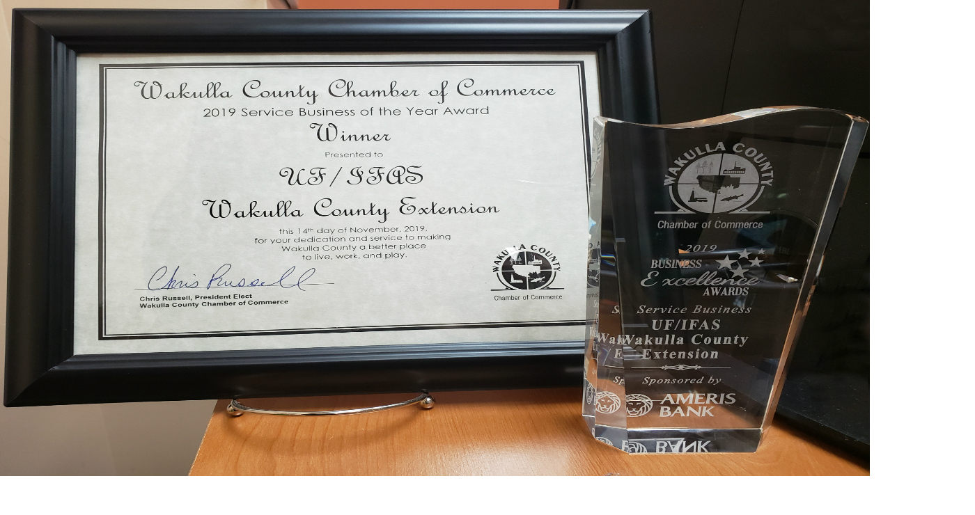 2019 Service Award 1 insert