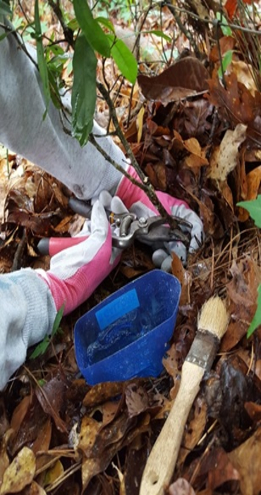 MH image insert 1img