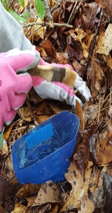 MH image insert 2img