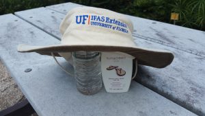 hat, water, and sunscreen