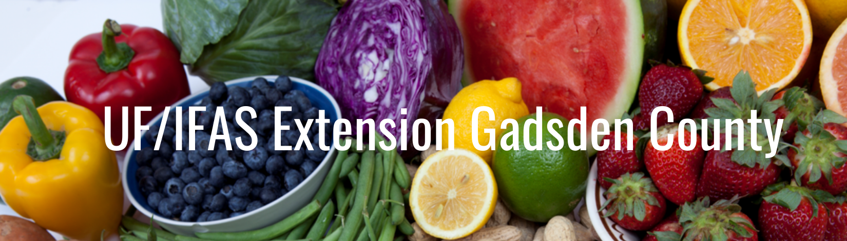 UF/IFAS Extension Gadsden County banner