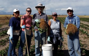Jim Sumler with the GCREC Strawberry Breeding Team and CSU Team.