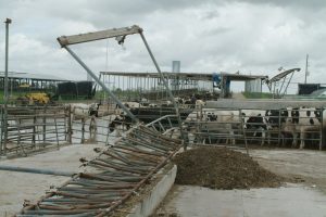 Image of dairy farm damaged after a hurricane.