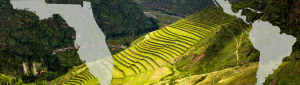 Terraced fields with a map of the Americas overlaid, showing line drawings of vegetables.