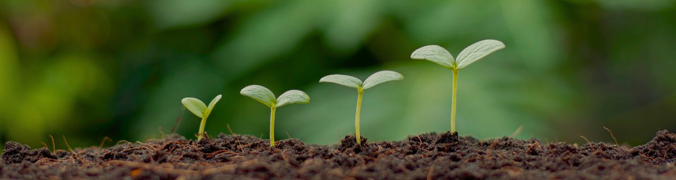 GFSI research seed fund