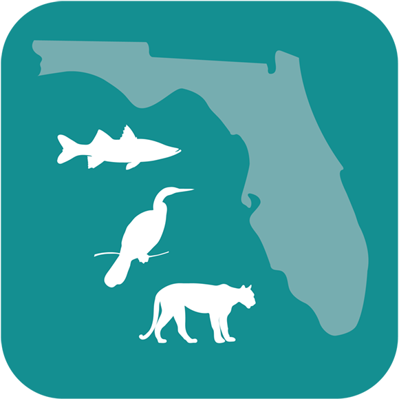 FWC Reporter App Icon