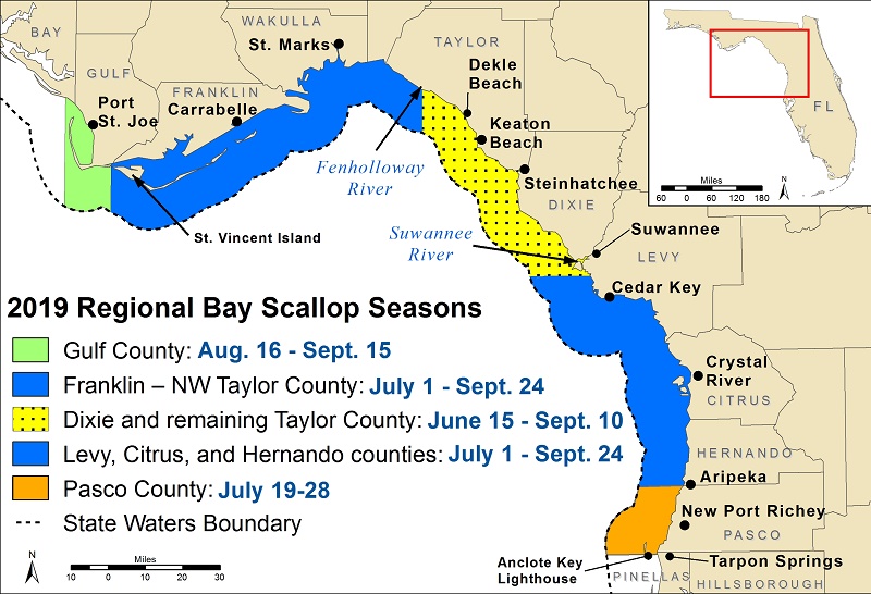 scallop season open zones for 2019