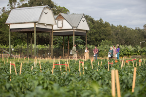 How it Happened: Alan and Cathy Hitchcock Field & Fork Pantry - UF/IFAS ...