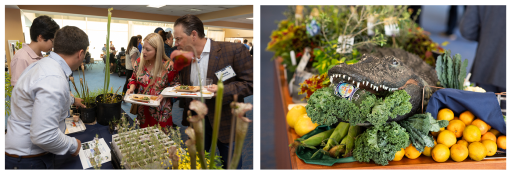 Photo 1: Flavors of Florida guests with plates of food learn about Florida native plants. Photo 2: Event decor centerpiece (an alligator statue surrounded by fruit and vegetables and with an event-branded glass in its open mouth).