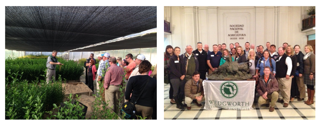 Photo 1: A group on an agricultural tour. Photo 2: A group posing with a Wedgworth Leadership Institute banner inside a government building of a Spanish-speaking country.
