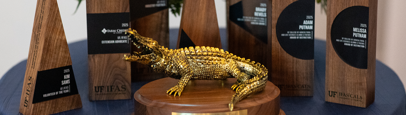 Geometric wooden awards around a gold alligator award