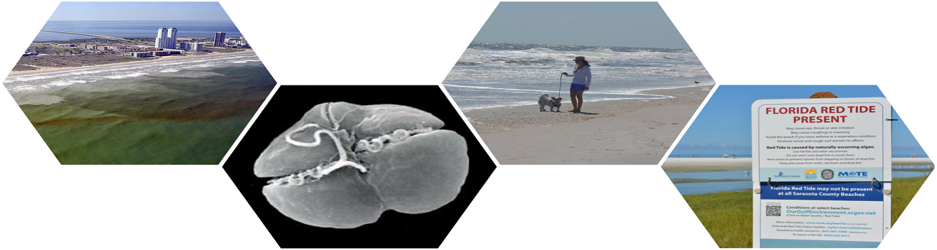 Red Tide Community Planning graphic