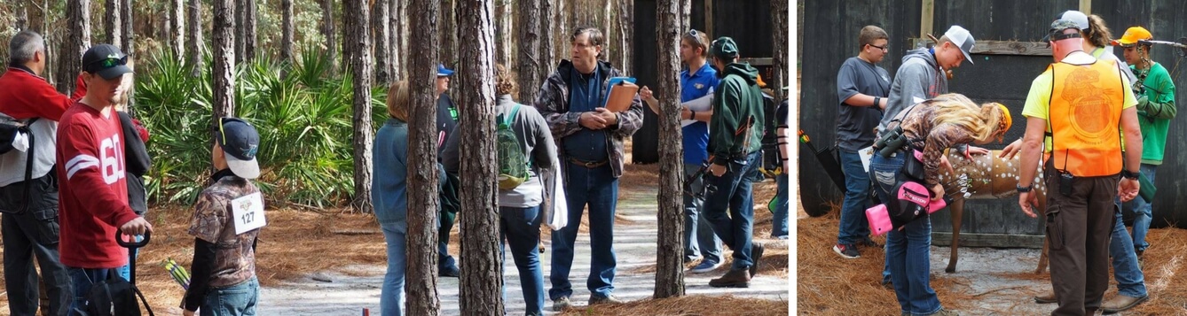 Forest collage, searching forest adn children standing next to a fawn replica