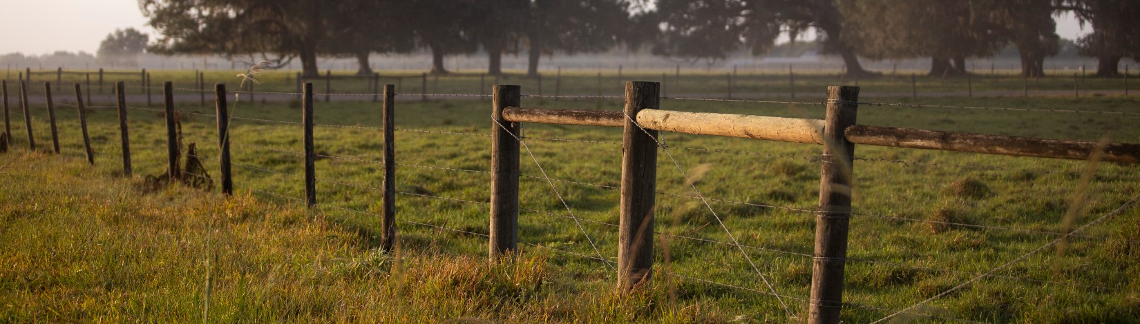 Fencing at the Range Cattle Research and Education Center (RCREC).