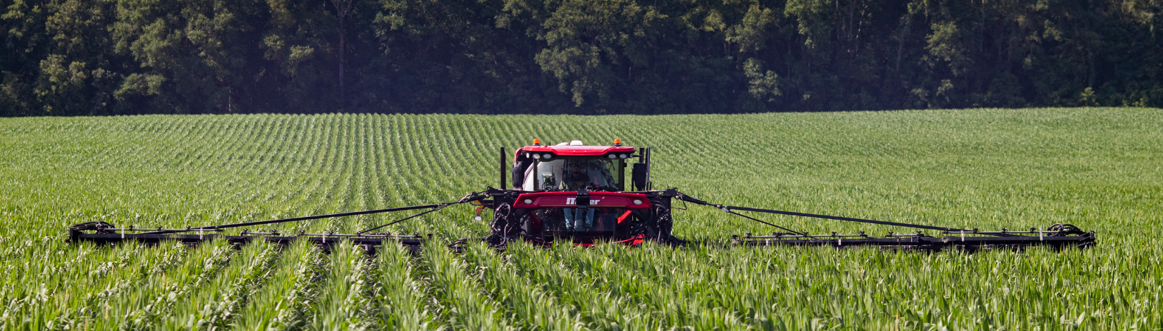 Elevated tractor applying fertilizer to a corn field.