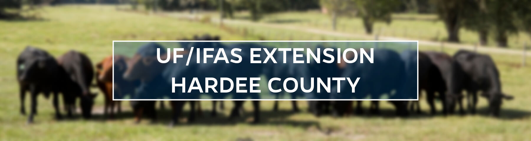 UF/IFAS Extension Hardee County