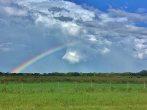 Summer rainbow