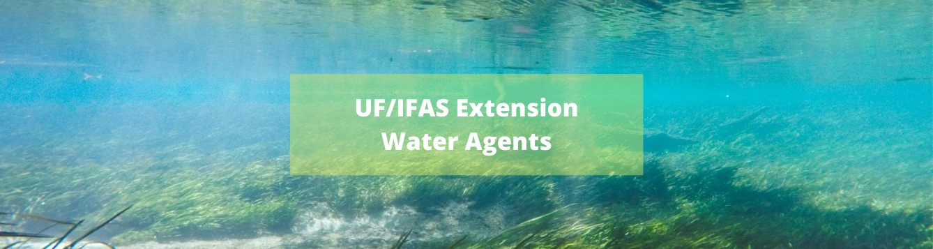 Water Agents Blog