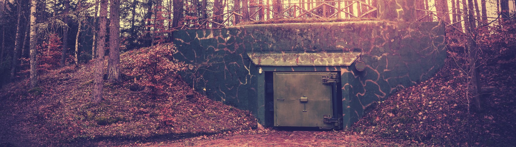 Scary bunker hidden in a forest with surreal colors, Podborsko, Poland.