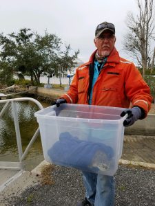 Man in orange jacket carrying cold-stunned sea turtle in a clear bucket.
