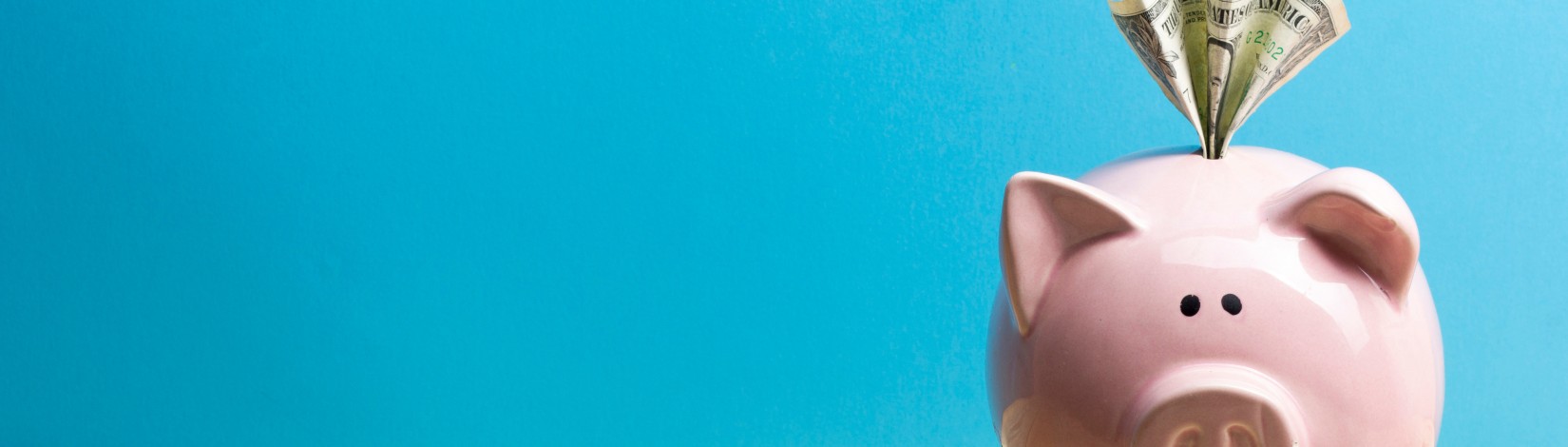 Piggy bank and dollar cash money. Business, finance, investment, saving and corruption concept.