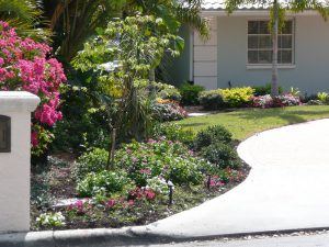 Colorful Flowers and less turf are markings of a good Florida-Friendly Landscaping. Photo from IFAS Commuinications. 