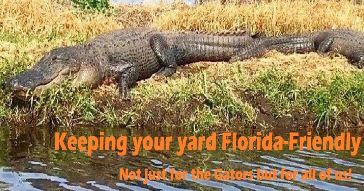 Being Florida-Friendly™ - UF/IFAS Extension Highlands County