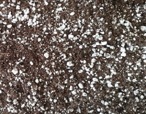 Close up of dark canadian peat and white perlite soilless mix