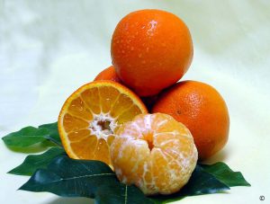a selection of oranges peeled and halved