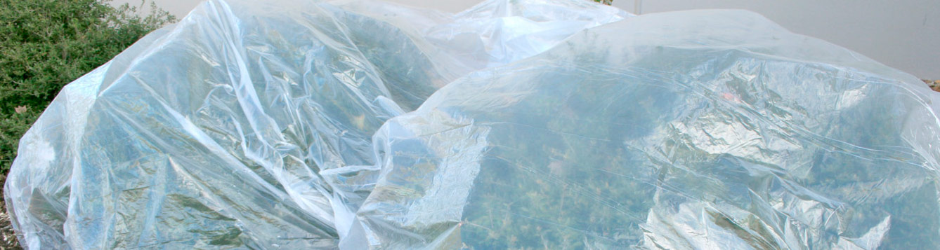 cold protection of plants