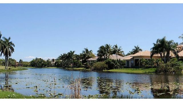 Winter Landscape Care: Fertilizer and Watering Tips