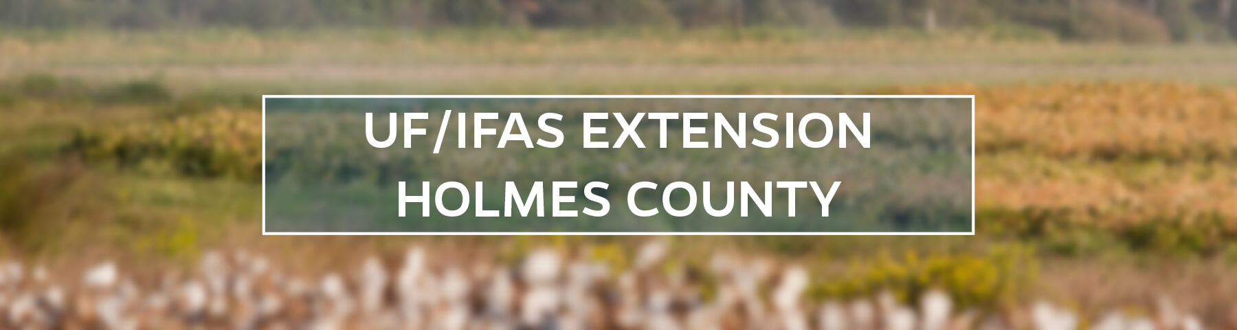 UF/IFAS Extension Holmes County