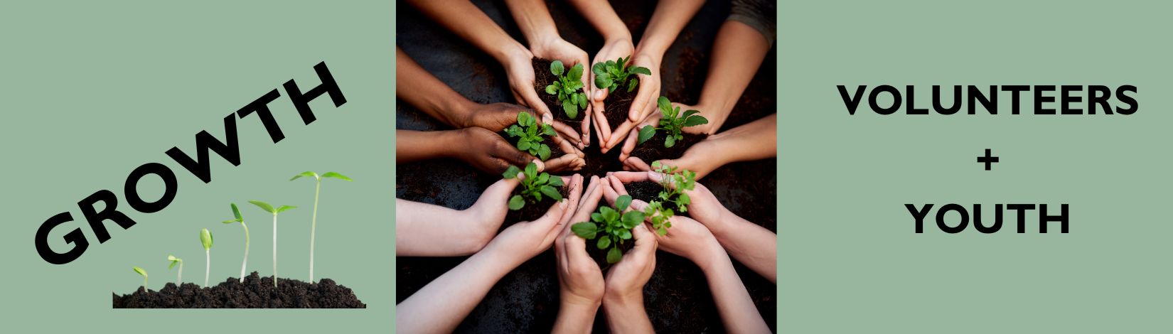 Growth - Volunteers plus youth graphic