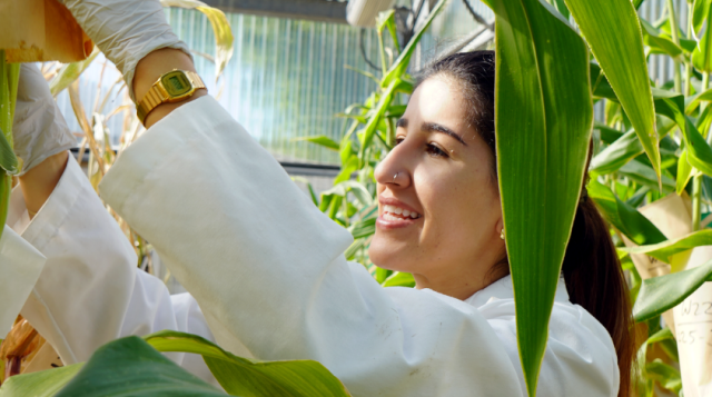 Nadia Mourad, PMCB Ph.D Candidate in Dr. Koch